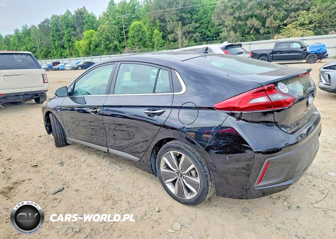 2019 Hyundai Ioniq Limited VIN:KMHC05LC5KU119086 - 3
