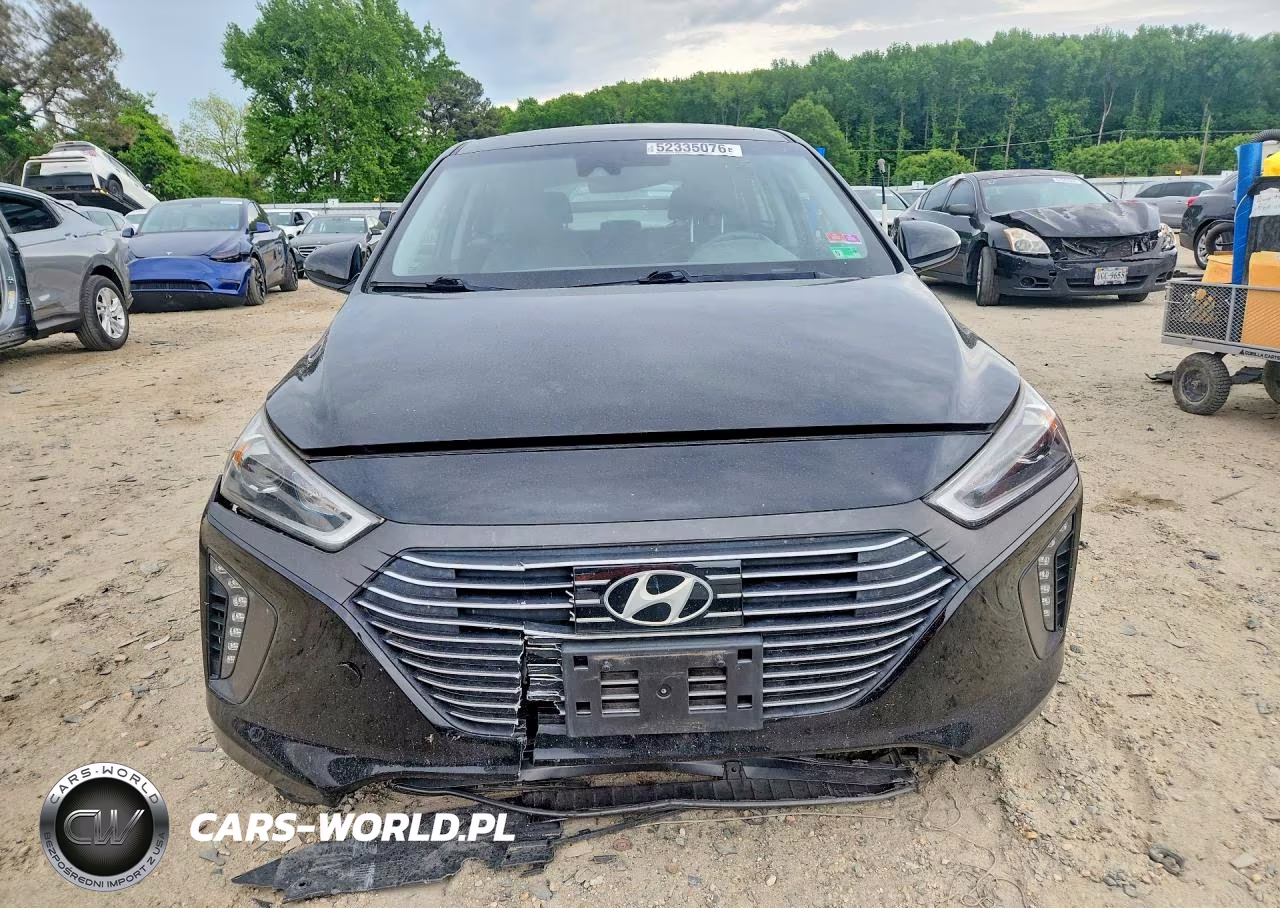 2019 Hyundai Ioniq Limited VIN:KMHC05LC5KU119086 - 7