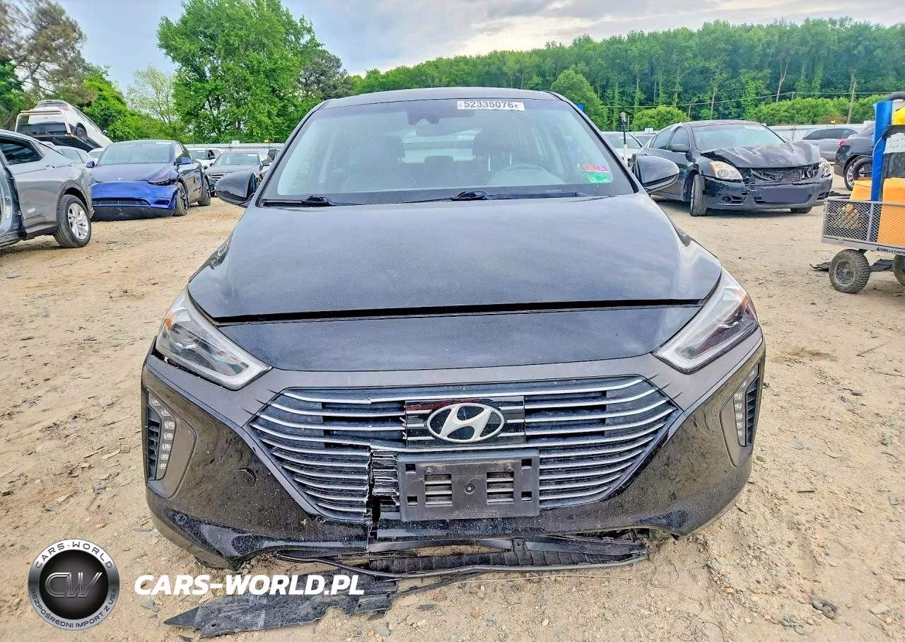 2019 Hyundai Ioniq Limited VIN:KMHC05LC5KU119086 - 8