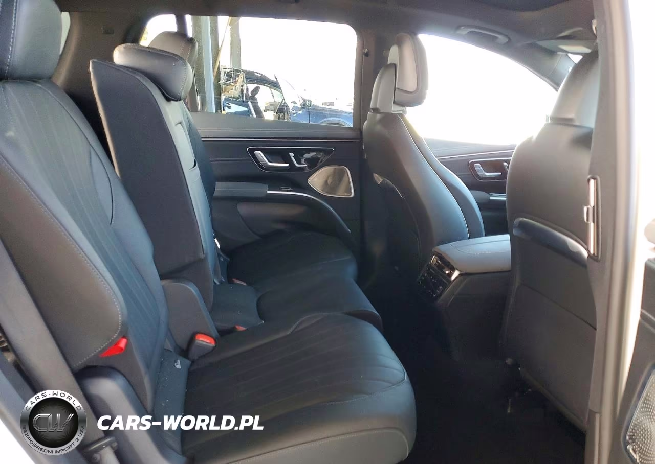 2024 Mercedes-Benz Eqs Suv 450+ VIN:4JGDM2DB8RA034901 - 10