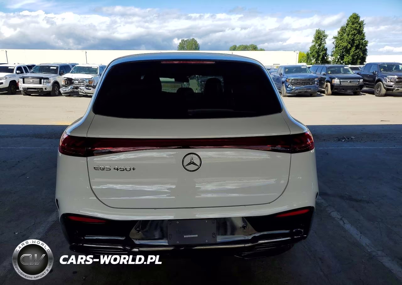 2024 Mercedes-Benz Eqs Suv 450+ VIN:4JGDM2DB8RA034901 - 6