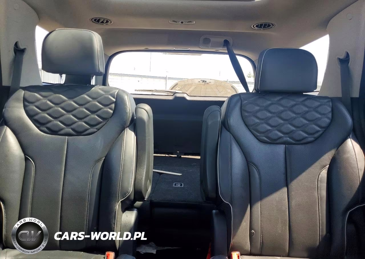 2022 Hyundai Palisade Limited VIN:KM8R5DHE6NU366282 - 10