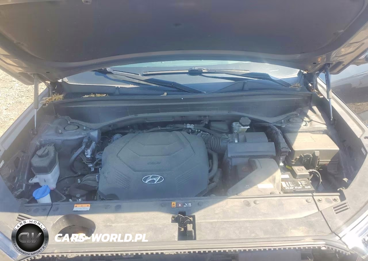 2022 Hyundai Palisade Limited VIN:KM8R5DHE6NU366282 - 12