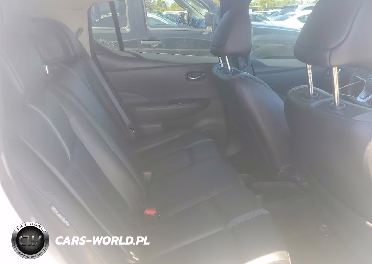 2020 Nissan Leaf Sl Plus VIN:1N4BZ1DP6LC310545 - 10