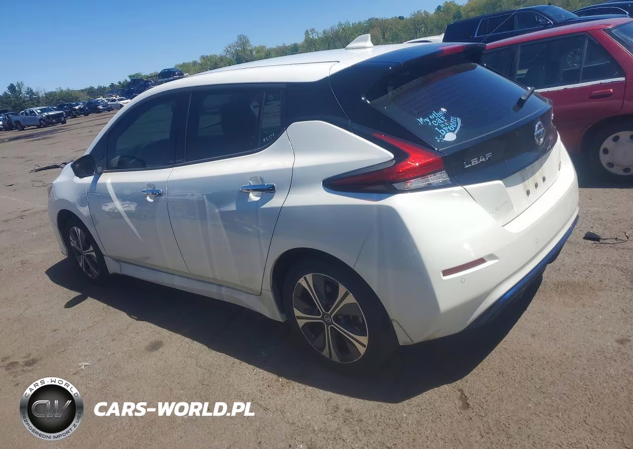 2020 Nissan Leaf Sl Plus VIN:1N4BZ1DP6LC310545 - 2