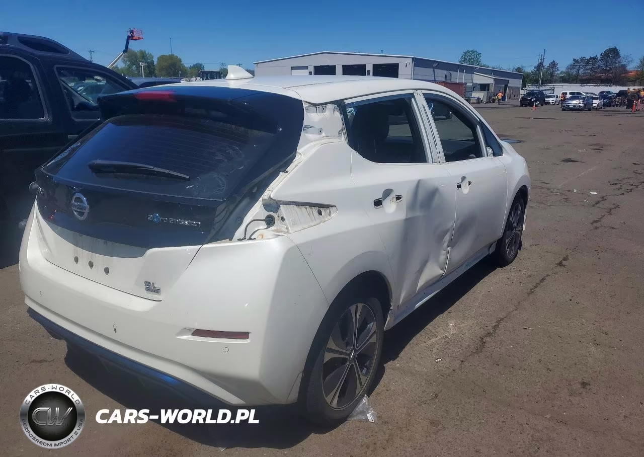 2020 Nissan Leaf Sl Plus VIN:1N4BZ1DP6LC310545 - 3