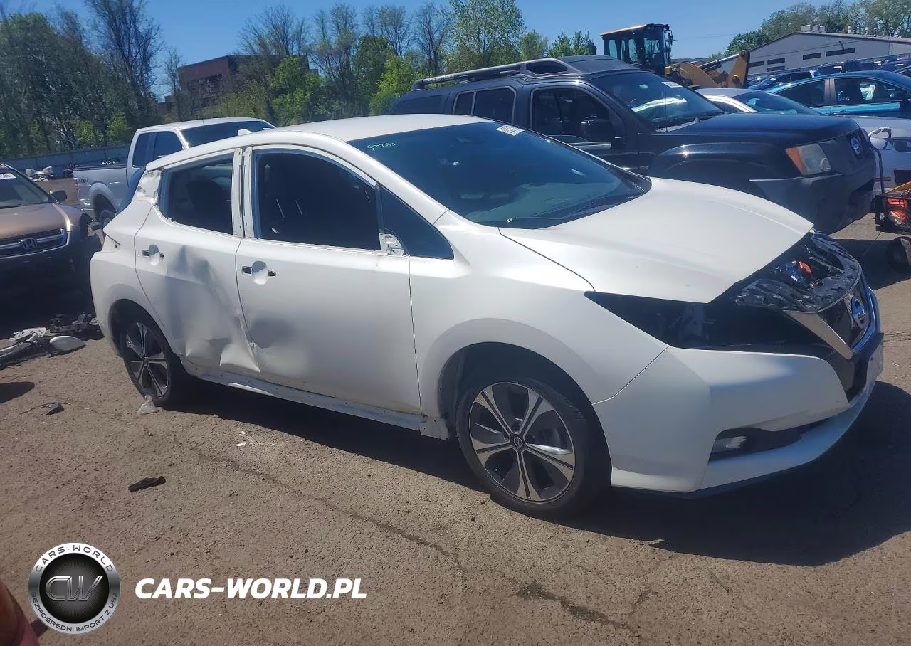 2020 Nissan Leaf Sl Plus VIN:1N4BZ1DP6LC310545 - 4