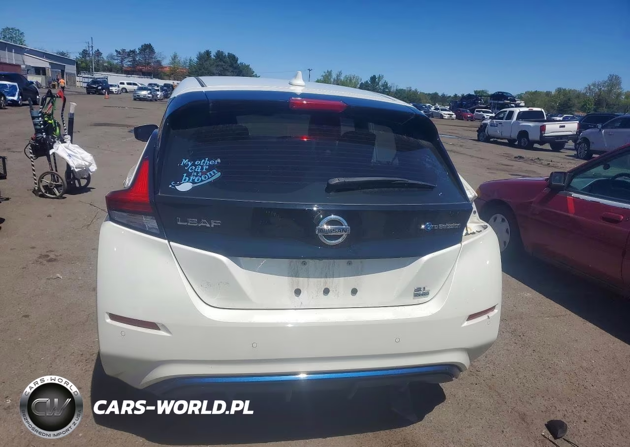 2020 Nissan Leaf Sl Plus VIN:1N4BZ1DP6LC310545 - 6