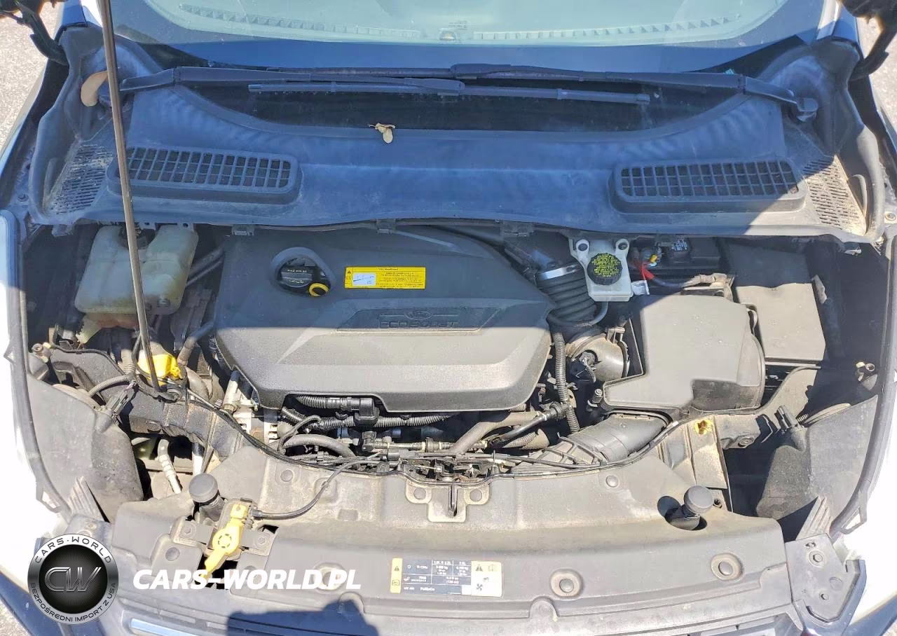 2016 Ford Escape VIN:1FMCU0GX8GUA26073 - 12