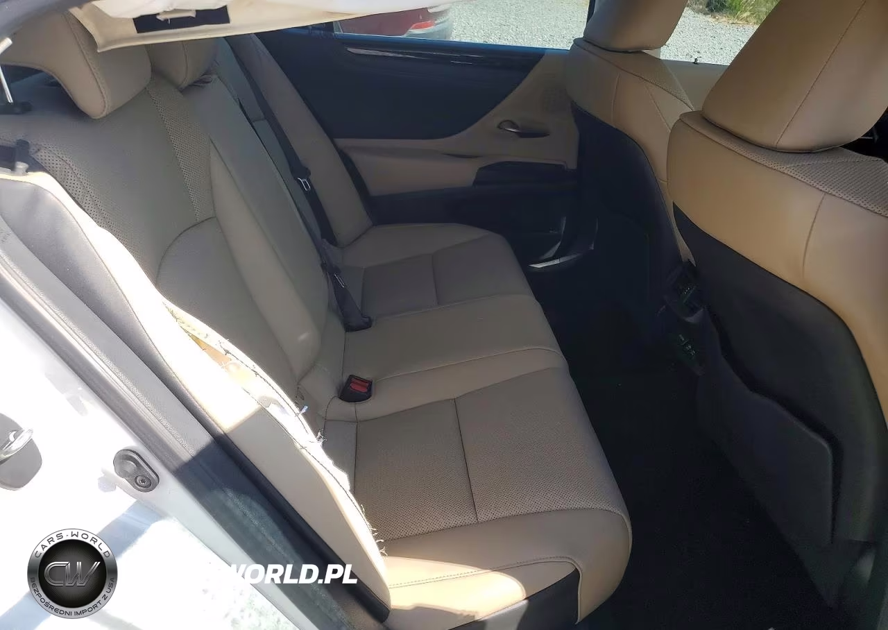 2020 Lexus Es 350 VIN:58ADZ1B19LU057284 - 10