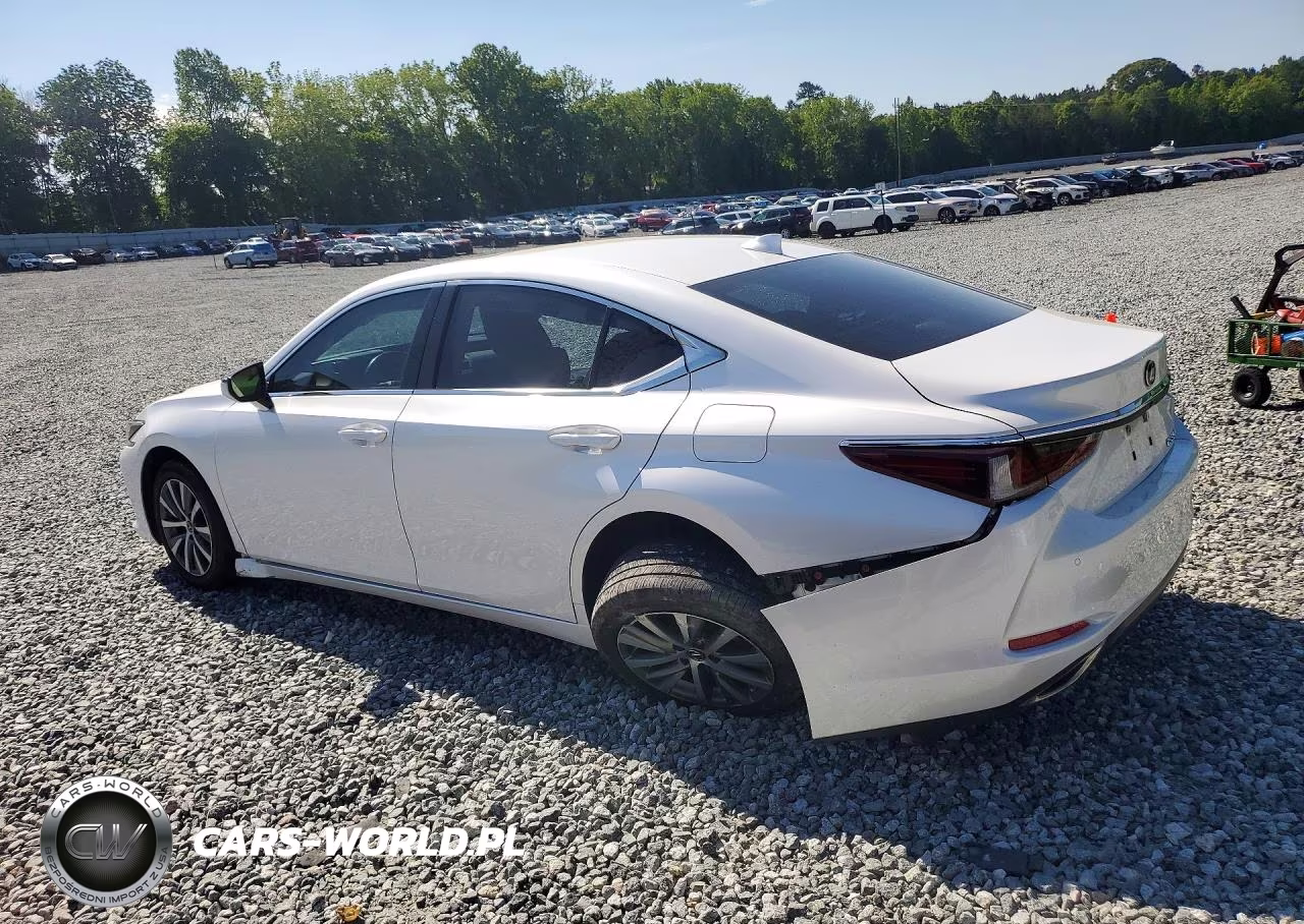 2020 Lexus Es 350 VIN:58ADZ1B19LU057284 - 2
