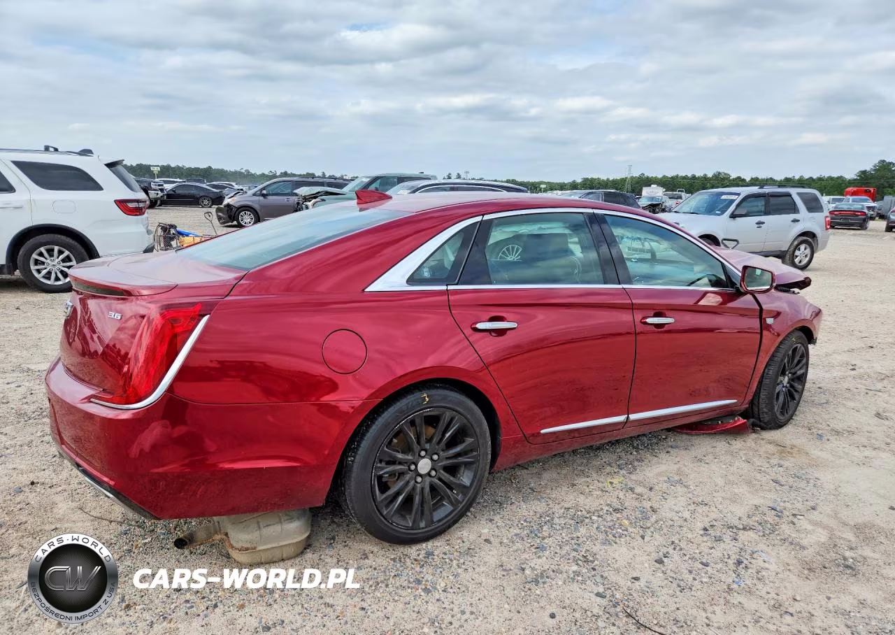 2019 Cadillac Xts Luxury VIN:2G61M5S36K9128185 - 3