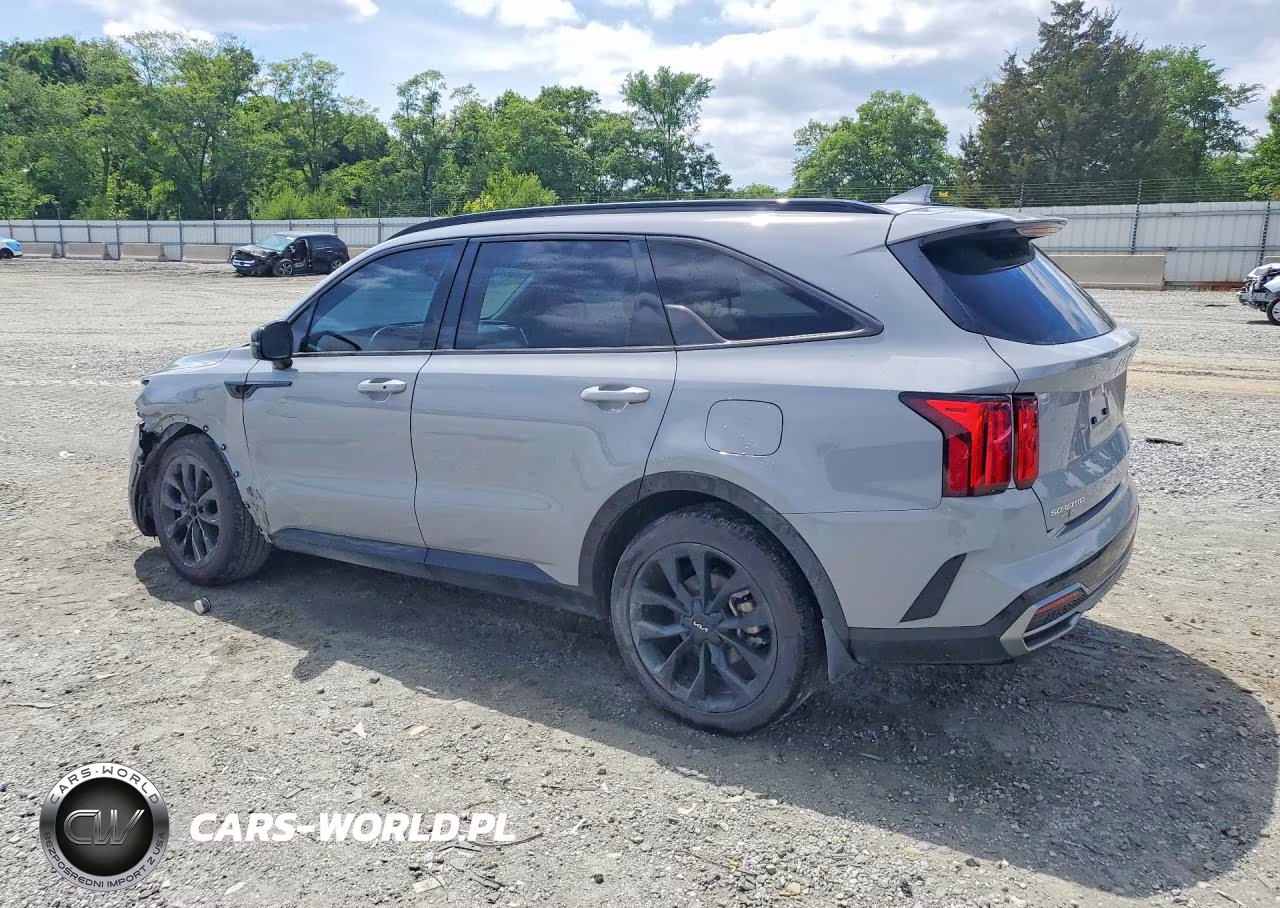 2023 Kia Sorento Sx VIN:5XYRK4LF8PG215364 - 2