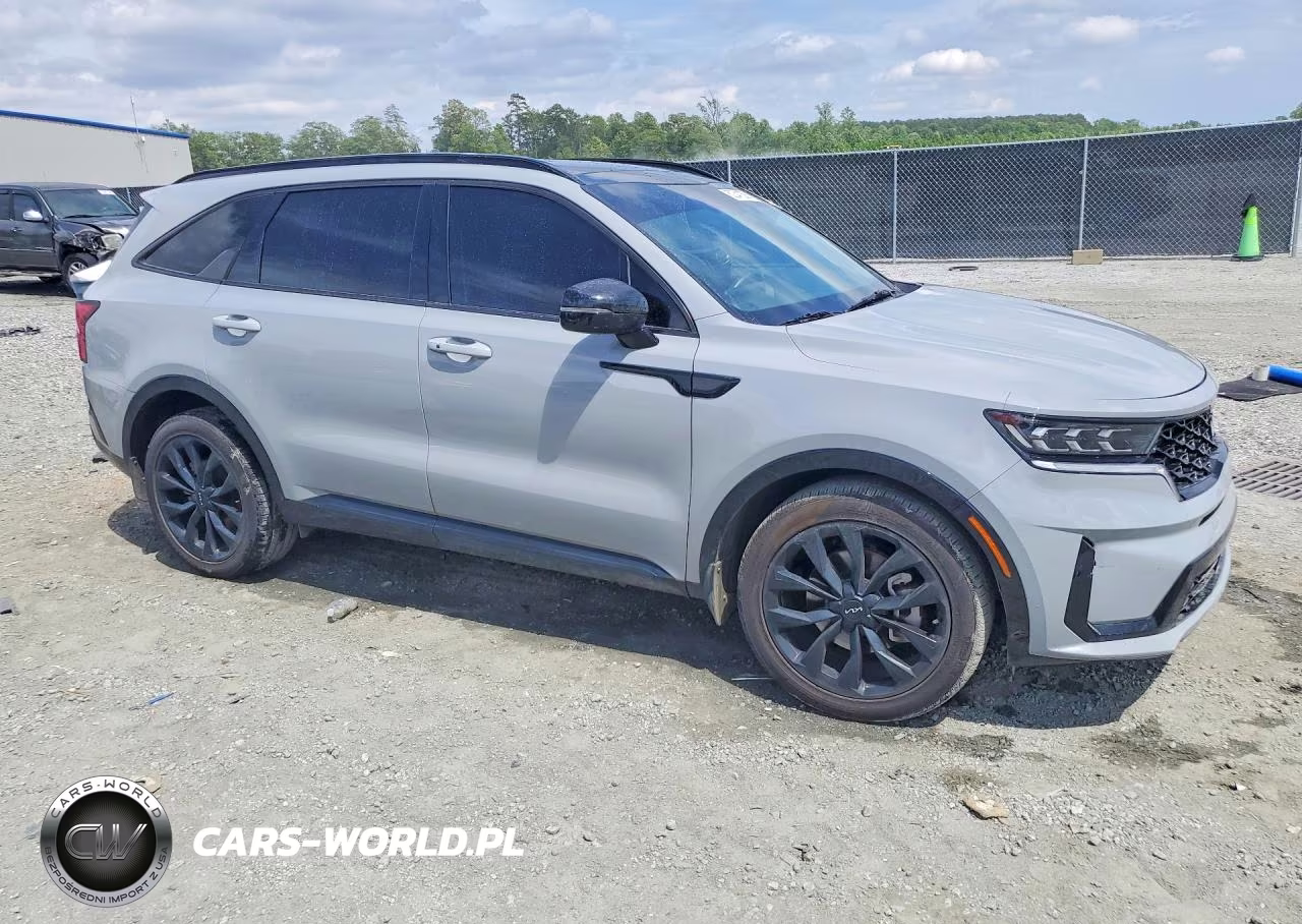 2023 Kia Sorento Sx VIN:5XYRK4LF8PG215364 - 4