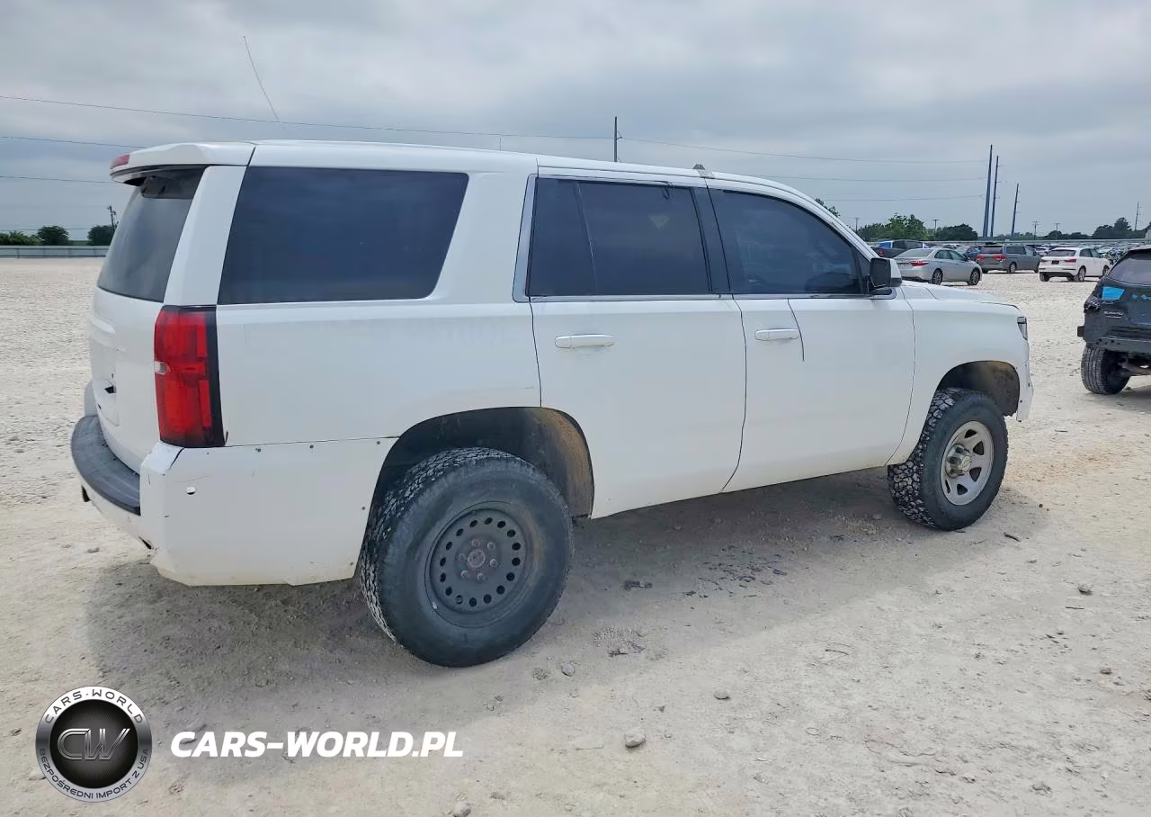 2017 Chevrolet Tahoe Special VIN:1GNSKFEC2HR265770 - 3