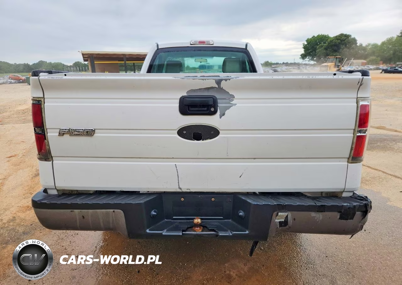 2010 Ford F-150 Stx-Xl-Xlt VIN:1FTMF1CW4AKB68378 - 6