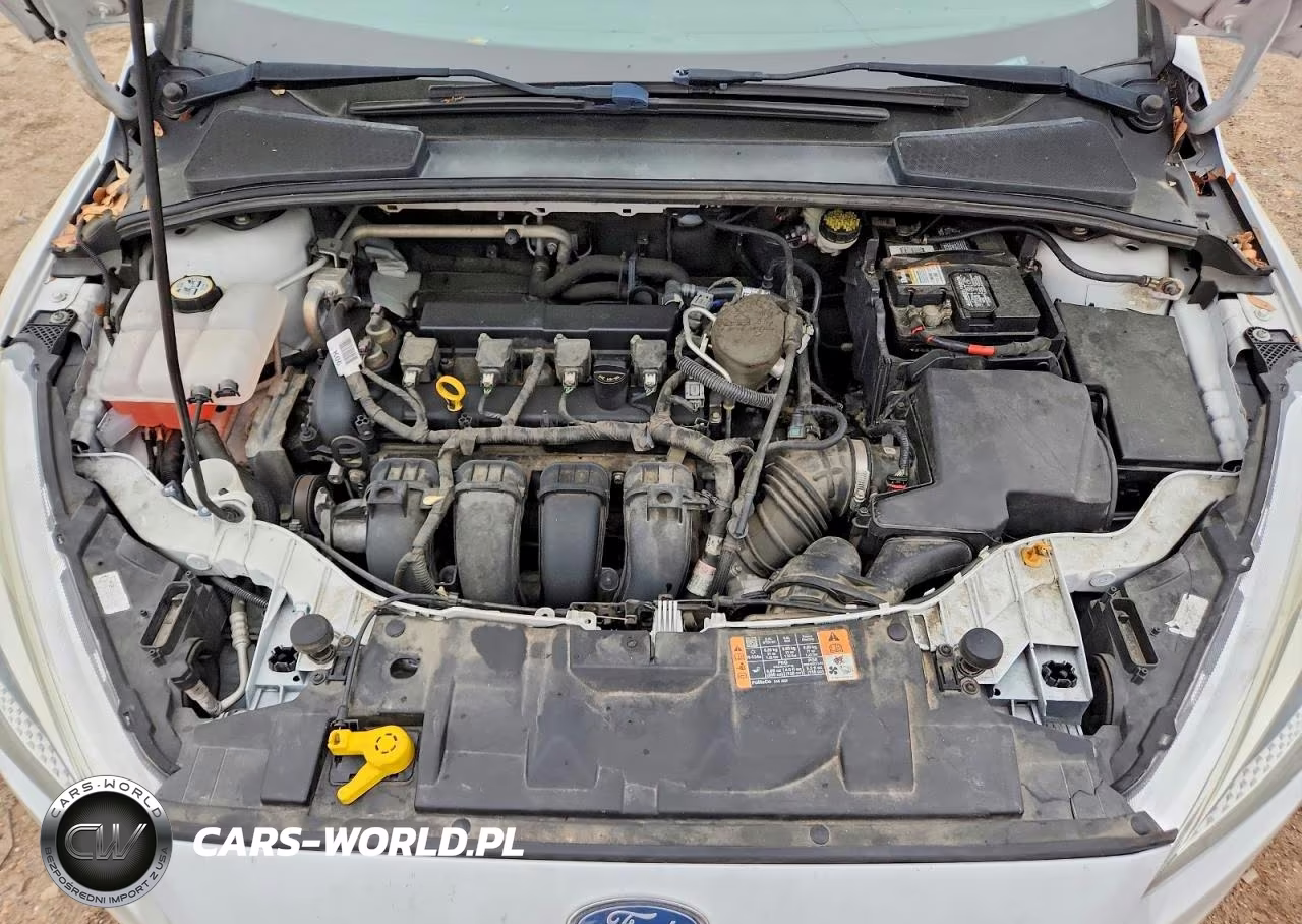 2016 Ford Focus Se VIN:1FADP3K20GL249698 - 11