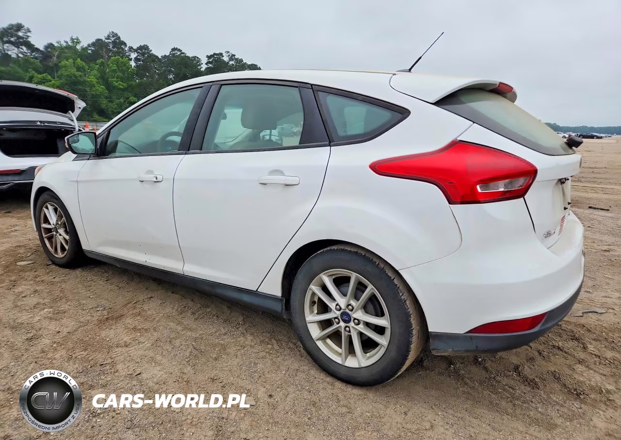2016 Ford Focus Se VIN:1FADP3K20GL249698 - 2