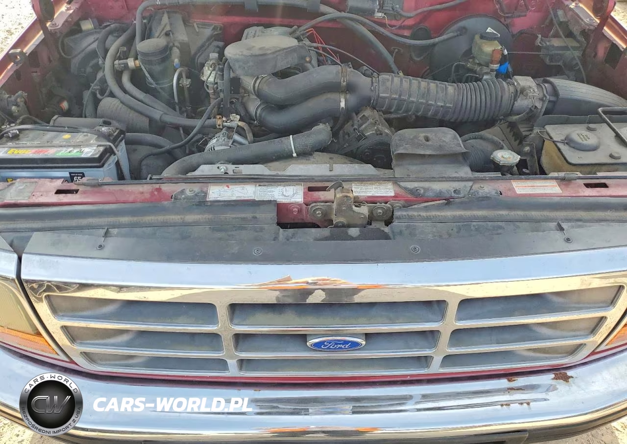 1995 Ford F-150 VIN:1FTEX15NXRKB72145 - 11