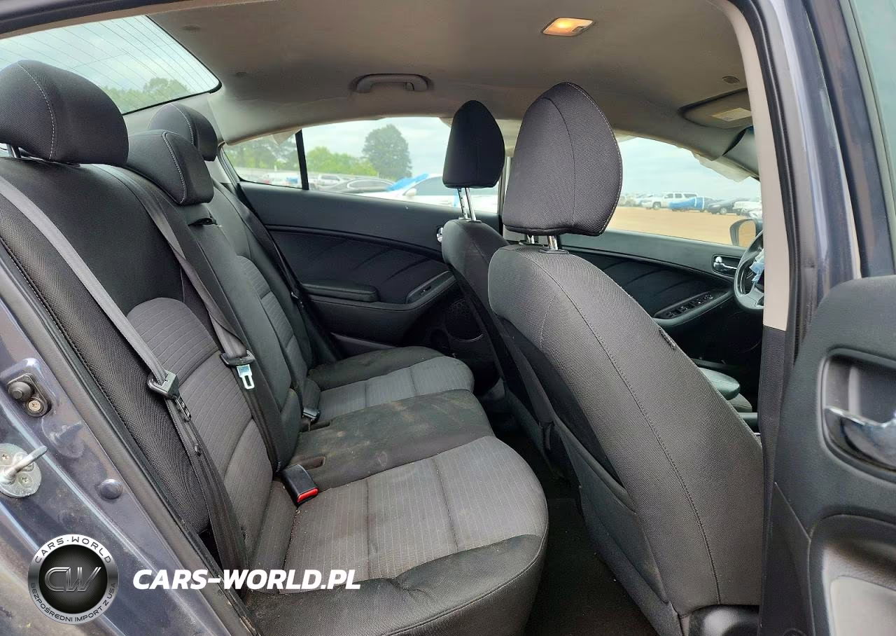 2016 Kia Forte Lx VIN:KNAFX4A60G5553967 - 10