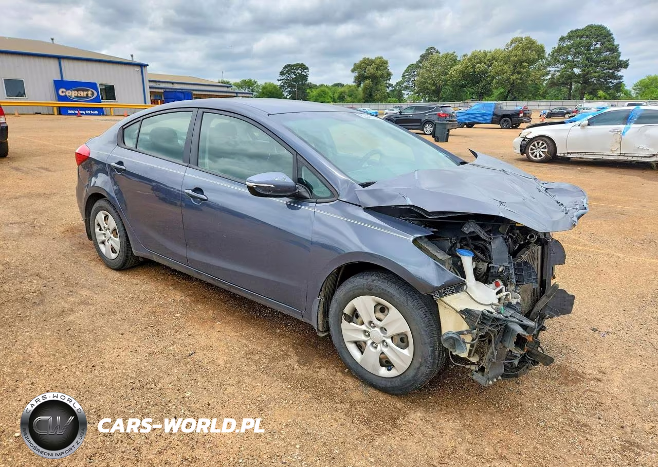 2016 Kia Forte Lx VIN:KNAFX4A60G5553967 - 4