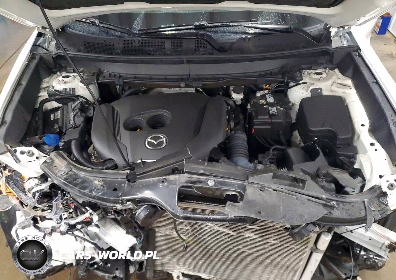 2021 Mazda Cx-9 Signature VIN:JM3TCBEY5M0536356 - 12