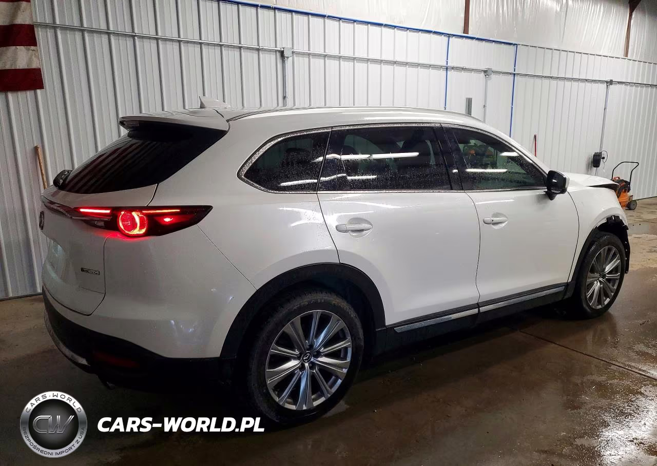 2021 Mazda Cx-9 Signature VIN:JM3TCBEY5M0536356 - 3
