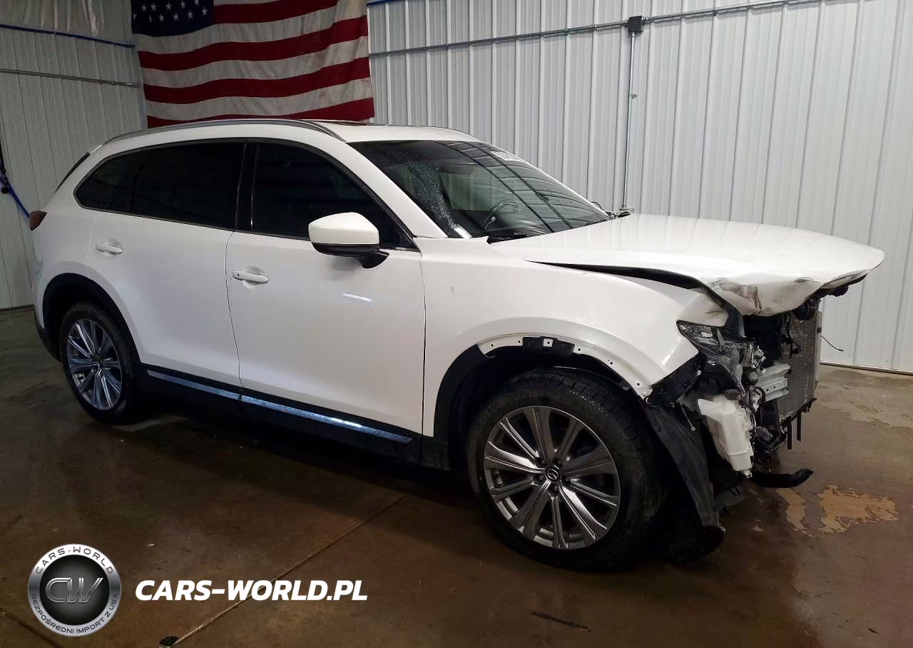 2021 Mazda Cx-9 Signature VIN:JM3TCBEY5M0536356 - 4