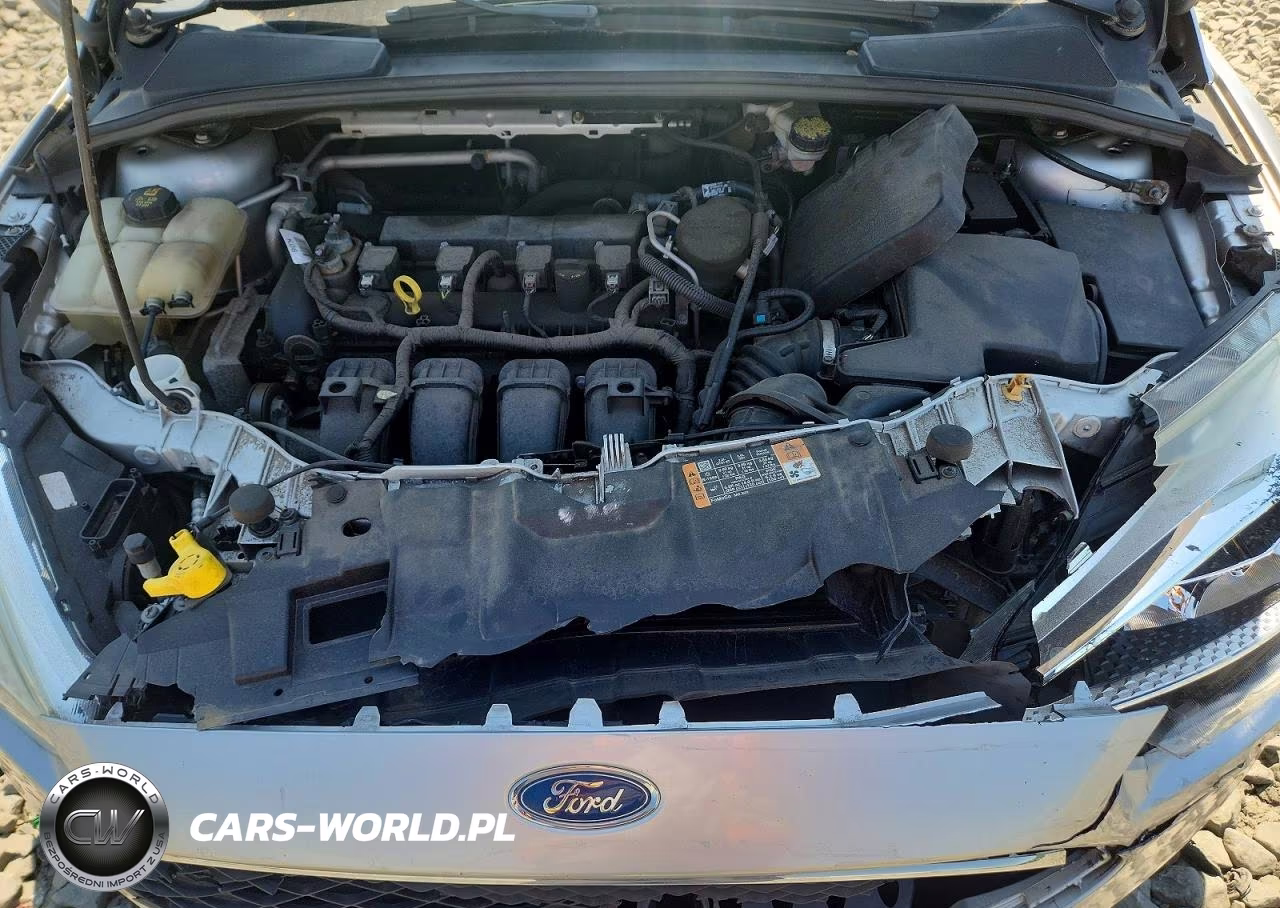 2016 Ford Focus Se VIN:1FADP3K23GL282954 - 11