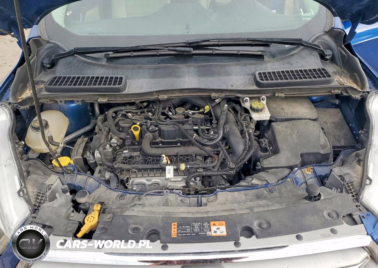 2019 Ford Escape Sel VIN:1FMCU0HD4KUC31452 - 11
