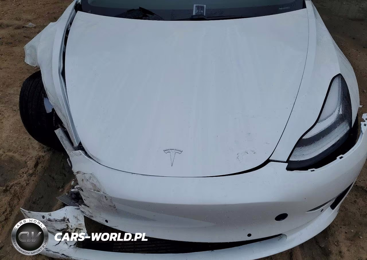 2020 Tesla Model 3 VIN:5YJ3E1EC7LF719176 - 11