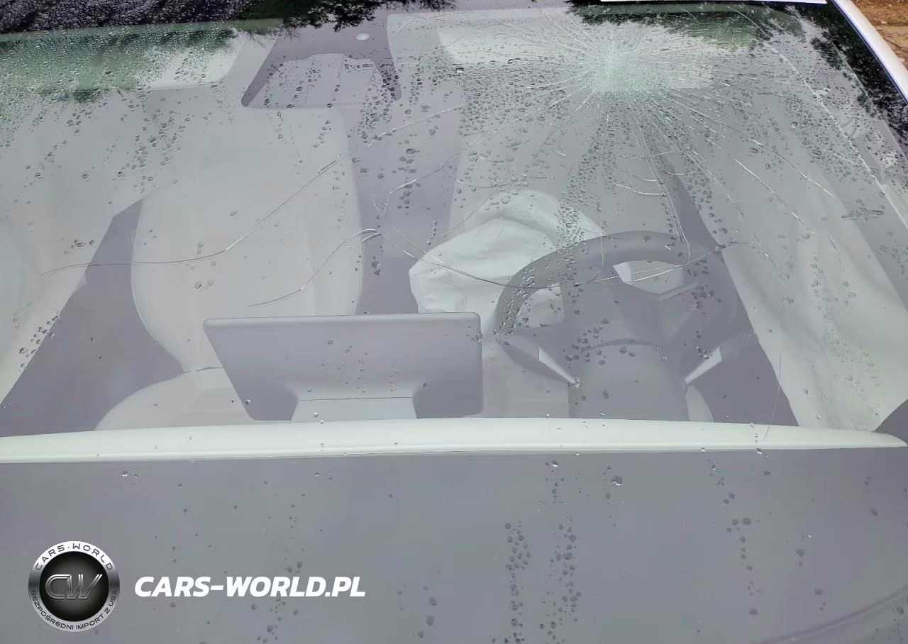2020 Tesla Model 3 VIN:5YJ3E1EC7LF719176 - 8
