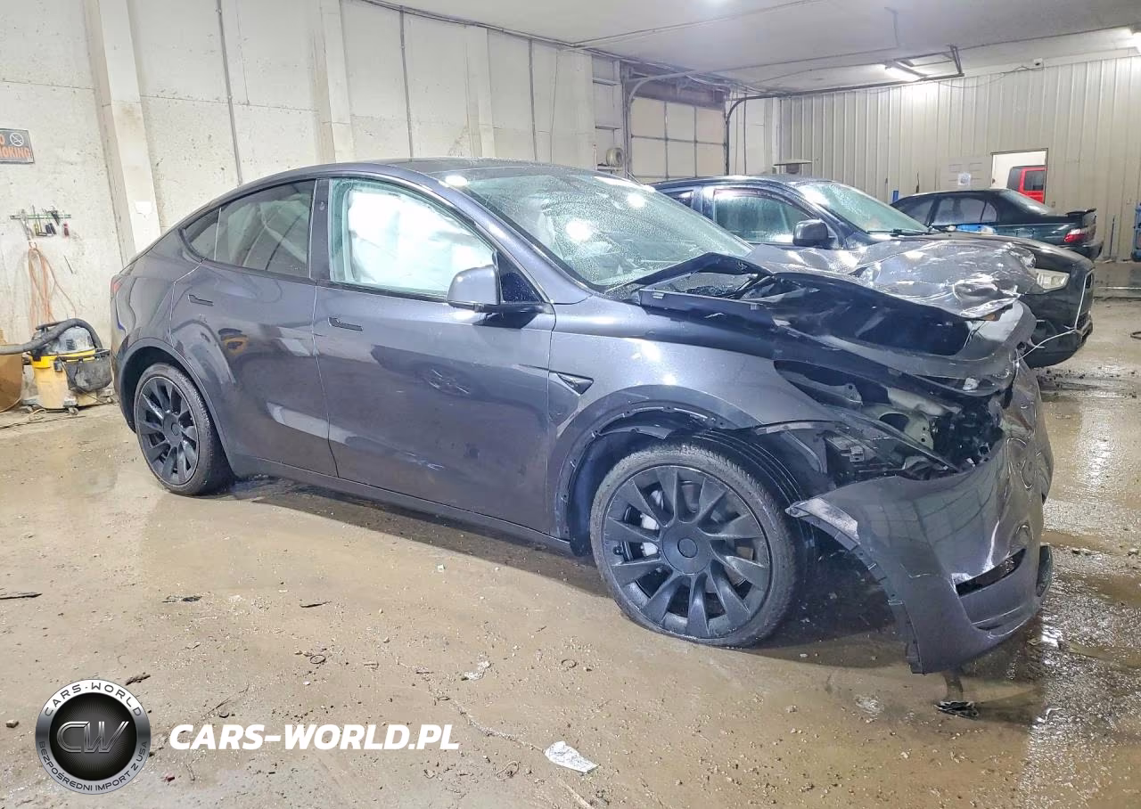 2025 Tesla Model Y VIN:7SAYGDEEXSA369916 - 4