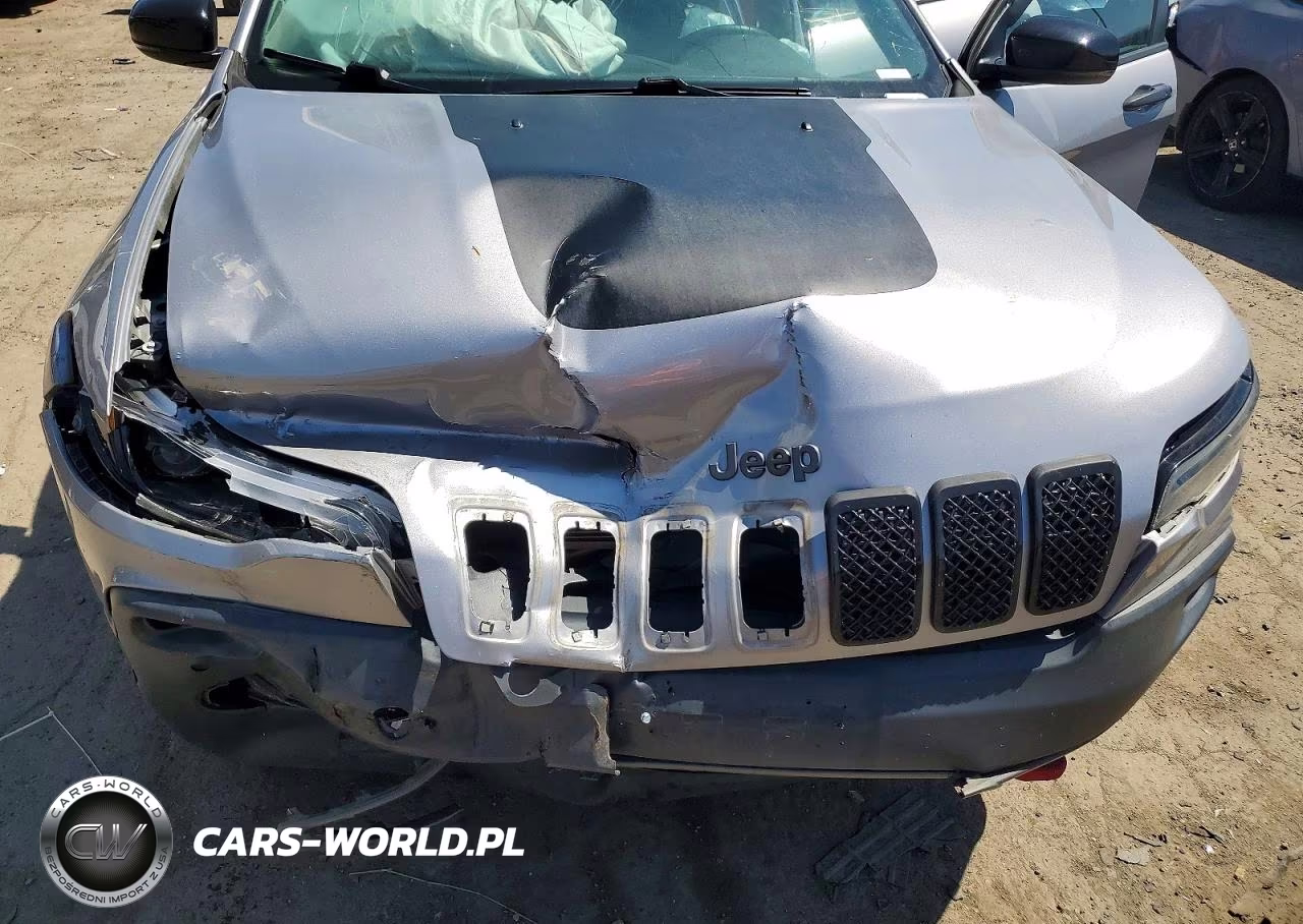 2019 Jeep Cherokee Trailhawk VIN:1C4PJMBX3KD380332 - 12