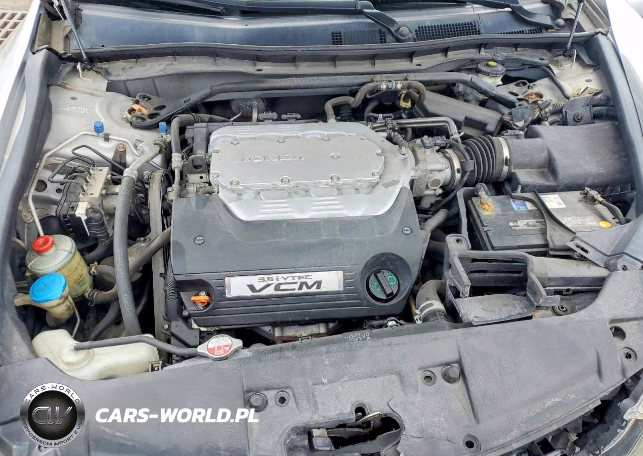 2010 Honda Accord Exl VIN:1HGCP3F83AA011319 - 11