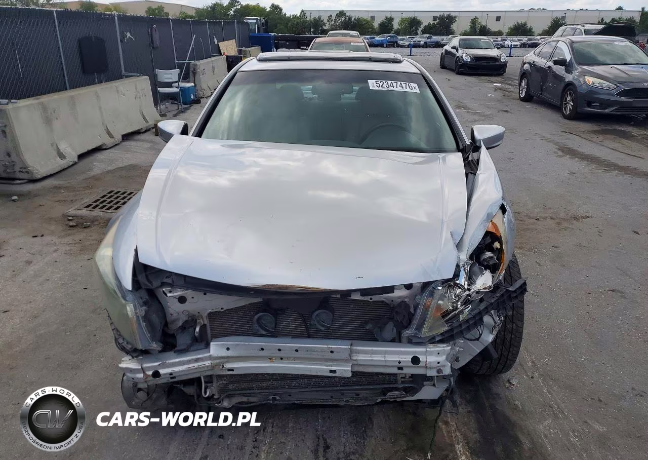 2010 Honda Accord Exl VIN:1HGCP3F83AA011319 - 5