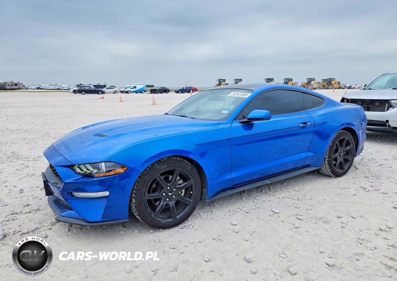 2019 Ford Mustang