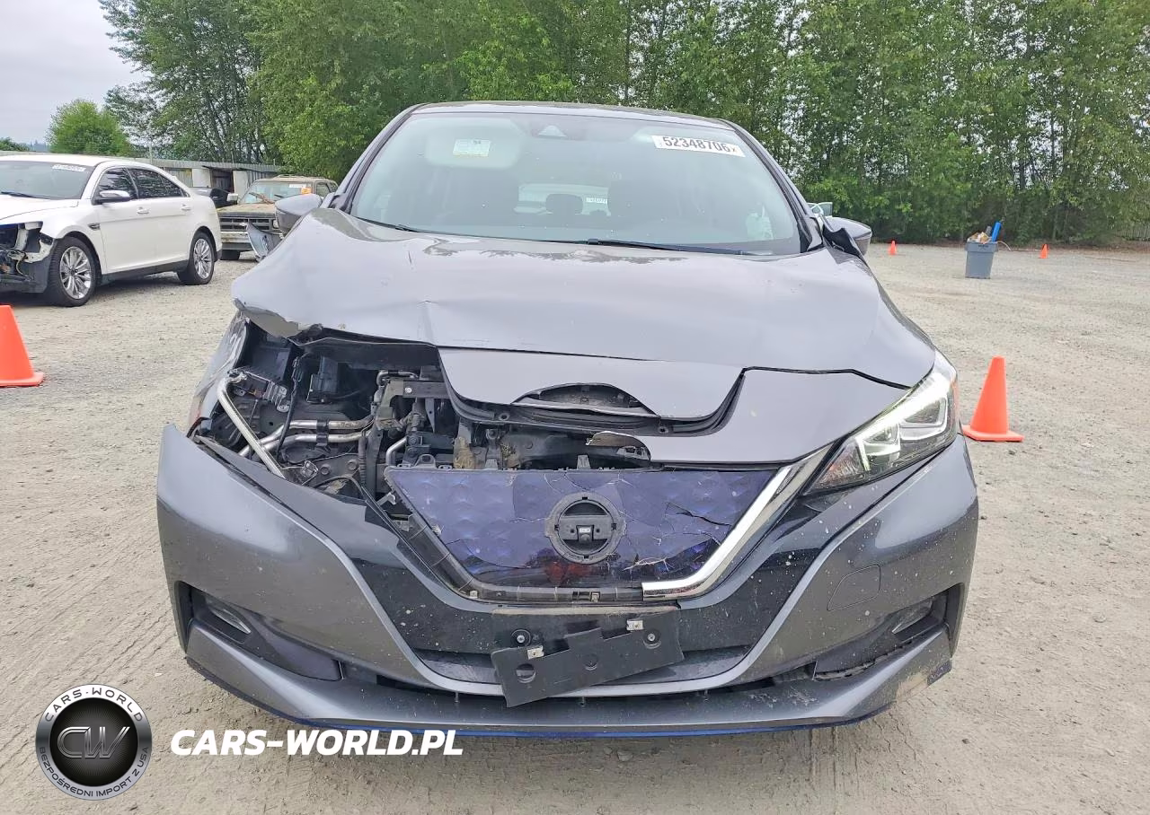 2021 Nissan Leaf Sl Plus VIN:1N4BZ1DV7MC551448 - 5