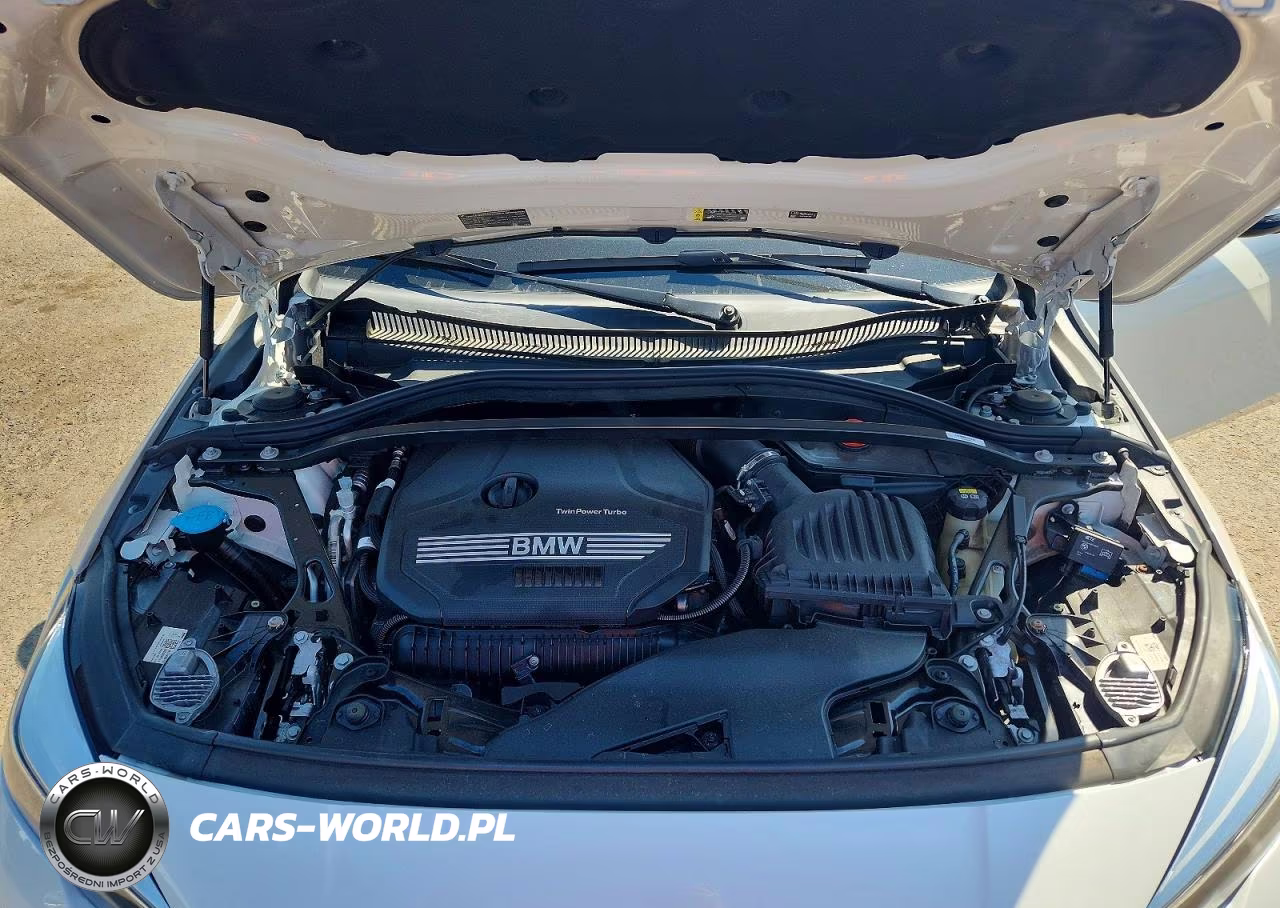 2020 BMW 228Xi VIN:WBA73AK04L7F97996 - 11
