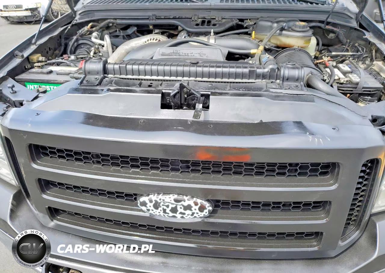 2006 Ford F350 Srw Super Duty VIN:1FTWW31P46EC29086 - 11