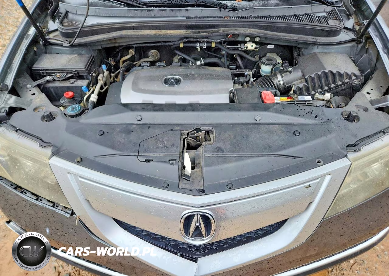 2010 Acura Mdx VIN:2HNYD2H23AH503019 - 12
