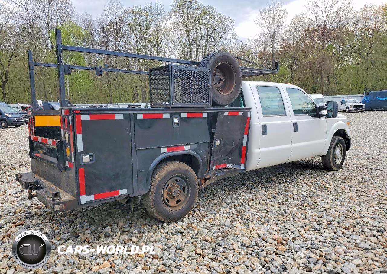 2015 Ford F350 Super Duty VIN:1FD7W3E67FEC64075 - 3
