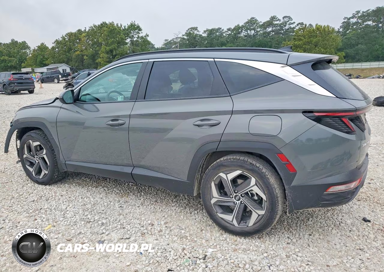 2024 Hyundai Tucson Sel VIN:5NMJF3DE9RH413994 - 2