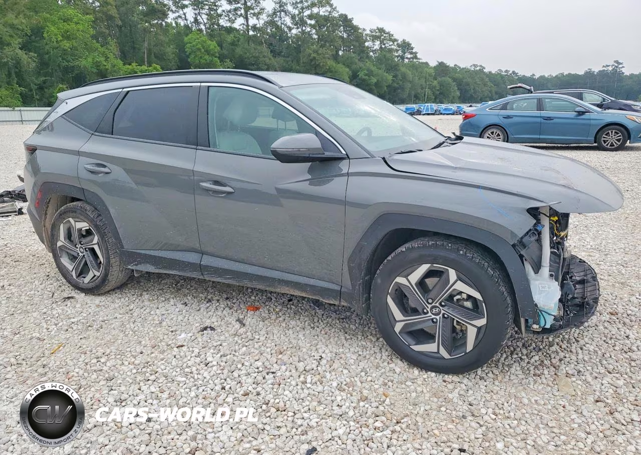 2024 Hyundai Tucson Sel VIN:5NMJF3DE9RH413994 - 4