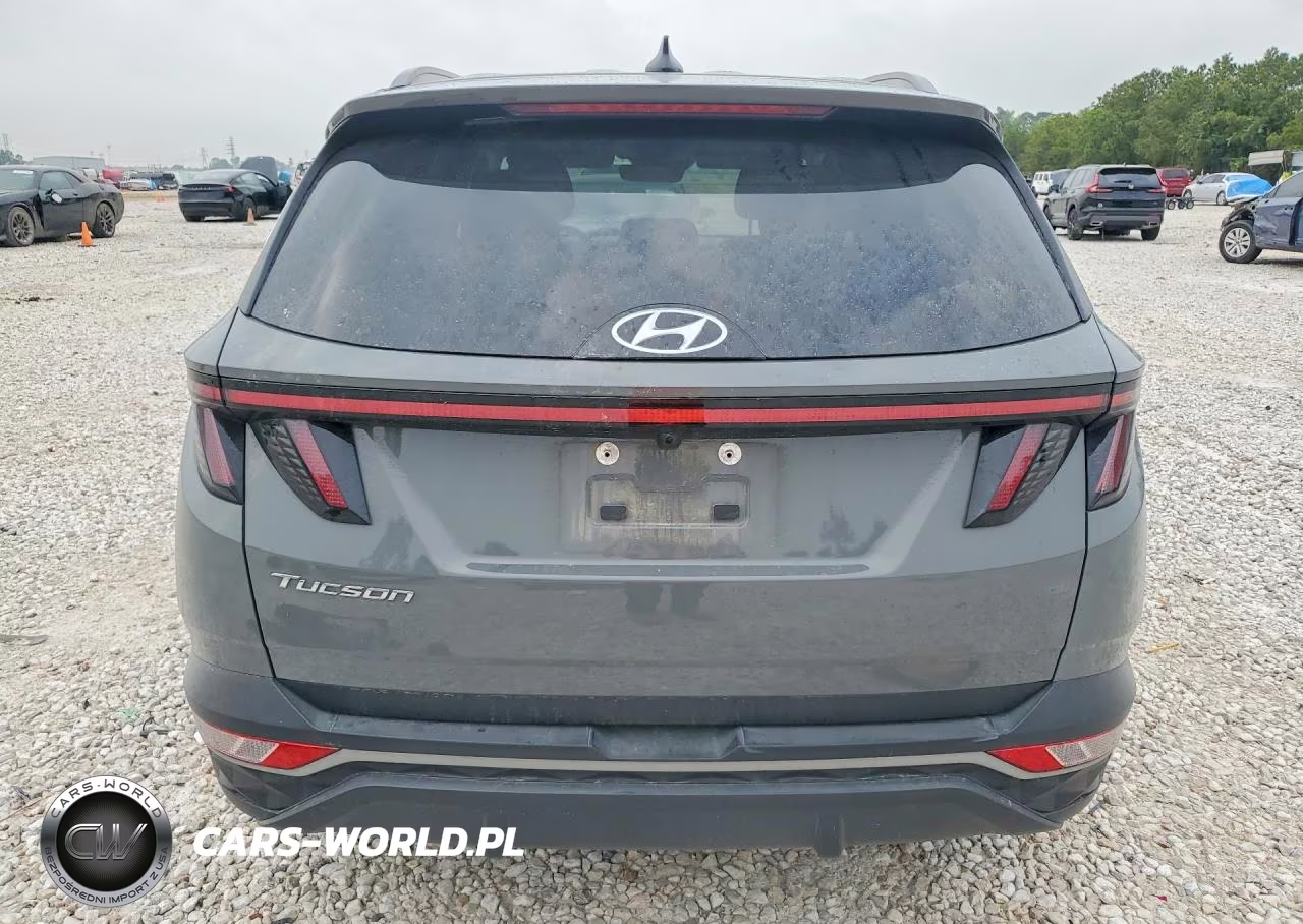 2024 Hyundai Tucson Sel VIN:5NMJF3DE9RH413994 - 6