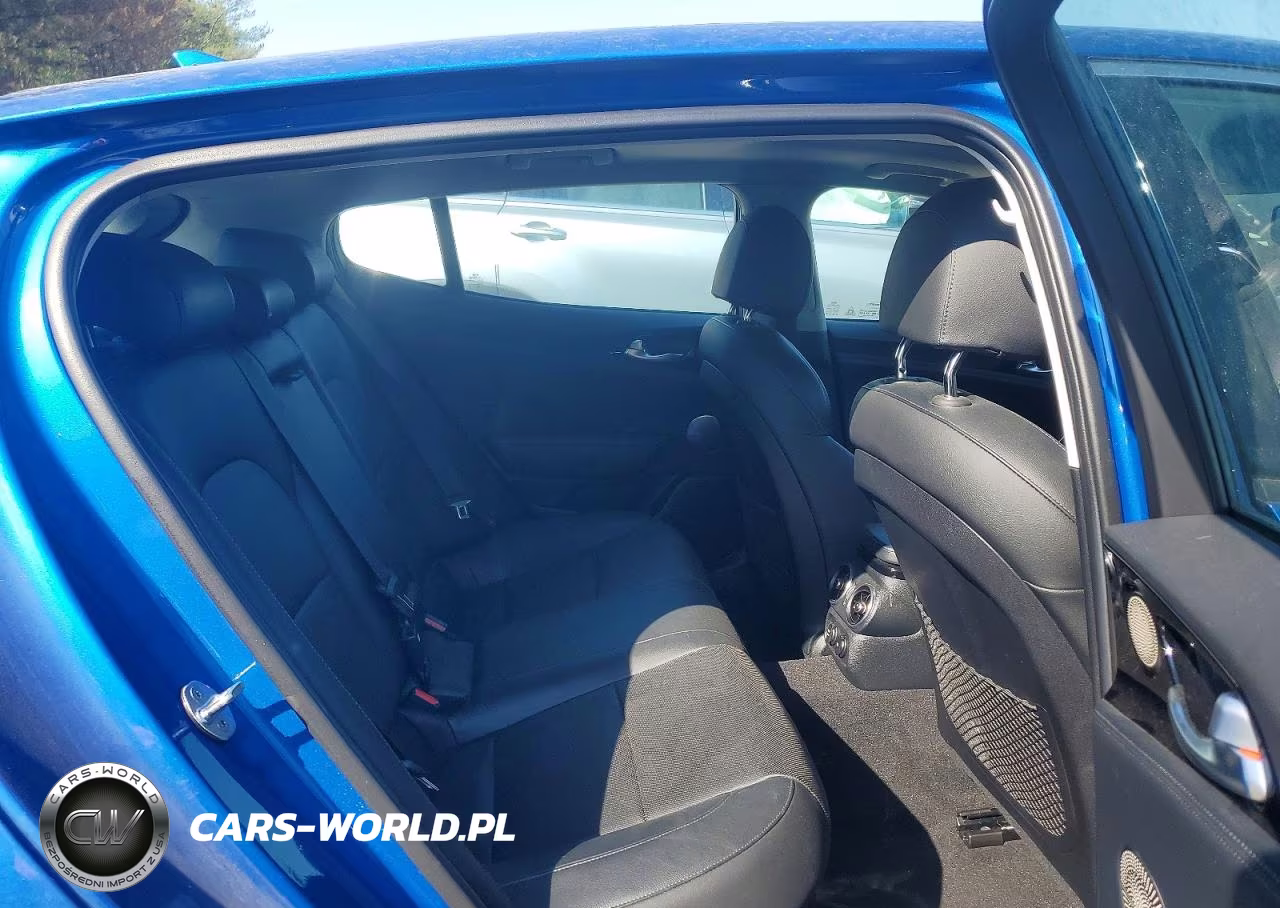 2018 Kia Stinger Premium VIN:KNAE25LA1J6026460 - 10