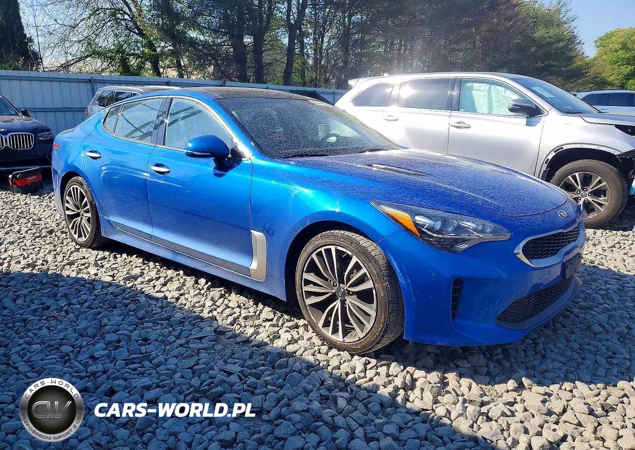 2018 Kia Stinger Premium VIN:KNAE25LA1J6026460 - 4