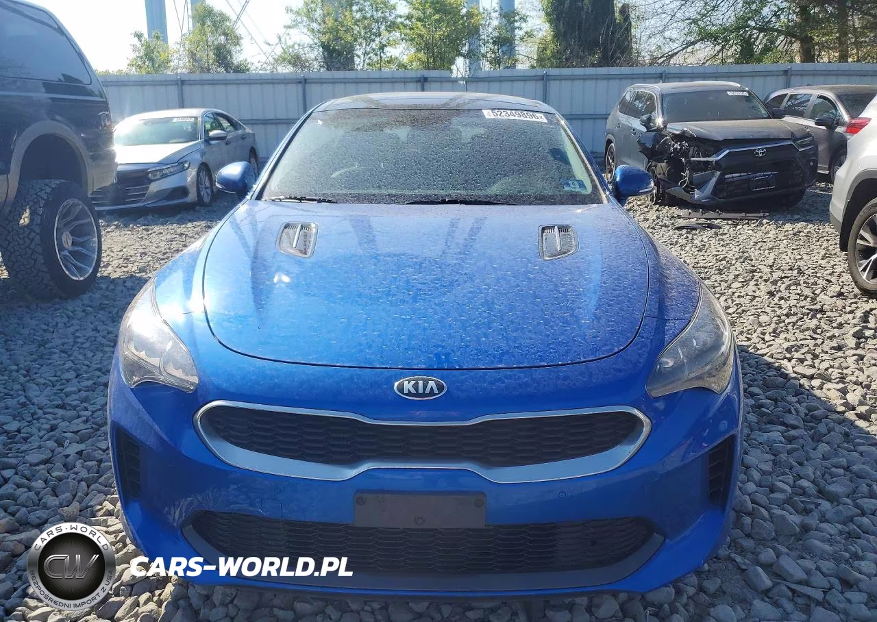 2018 Kia Stinger Premium VIN:KNAE25LA1J6026460 - 5