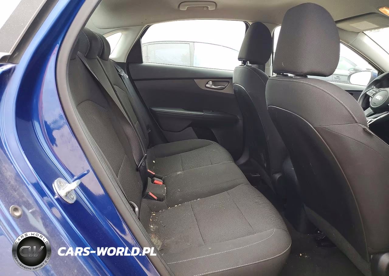 2019 Kia Forte Lxs VIN:3KPF24ADXKE052680 - 10