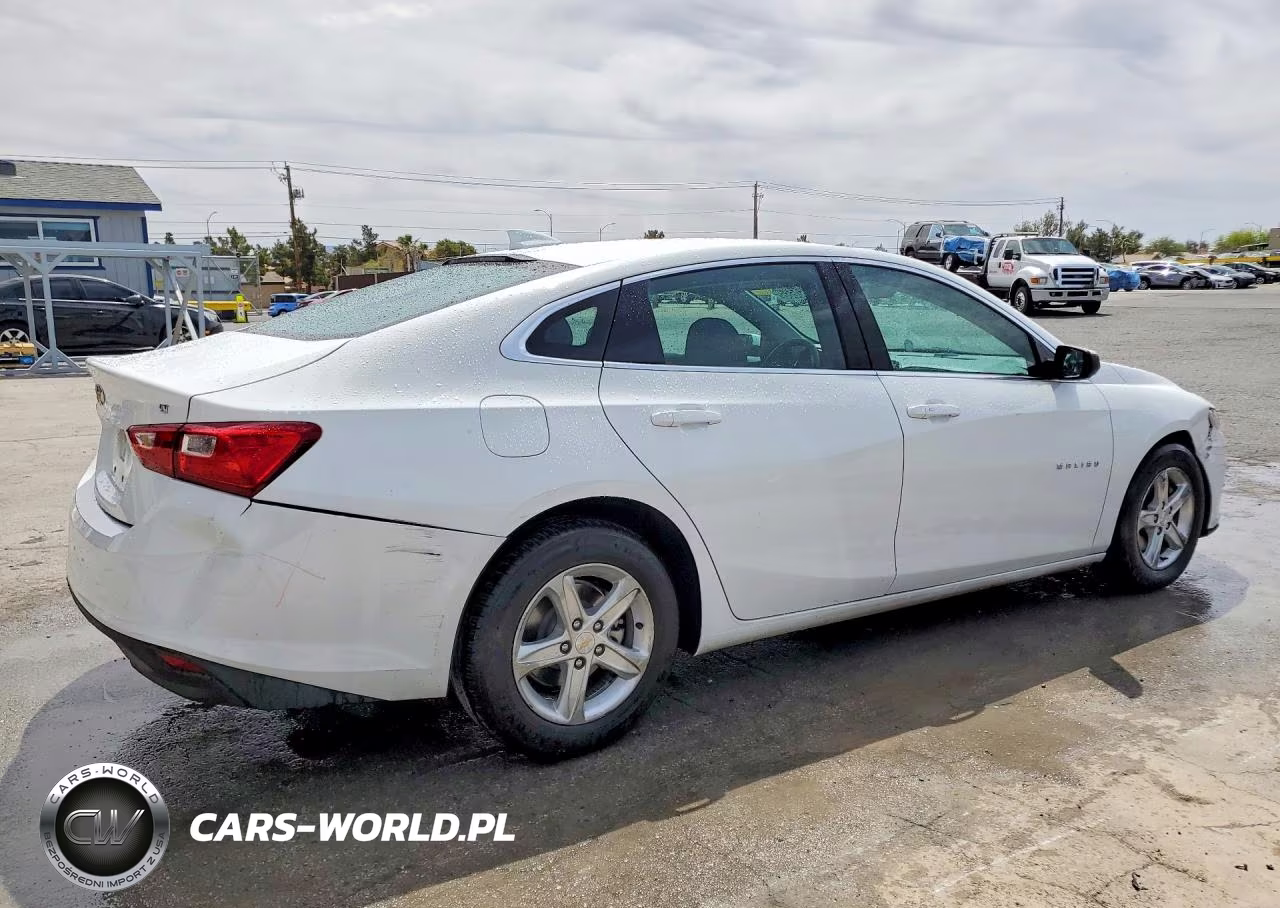 2023 Chevrolet Malibu Lt VIN:1G1ZD5ST1PF170884 - 3